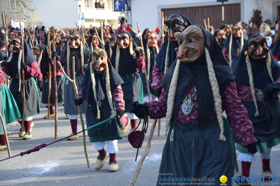 Grosser Narrensprung: Langenargen am Bodensee, 19.01.2020