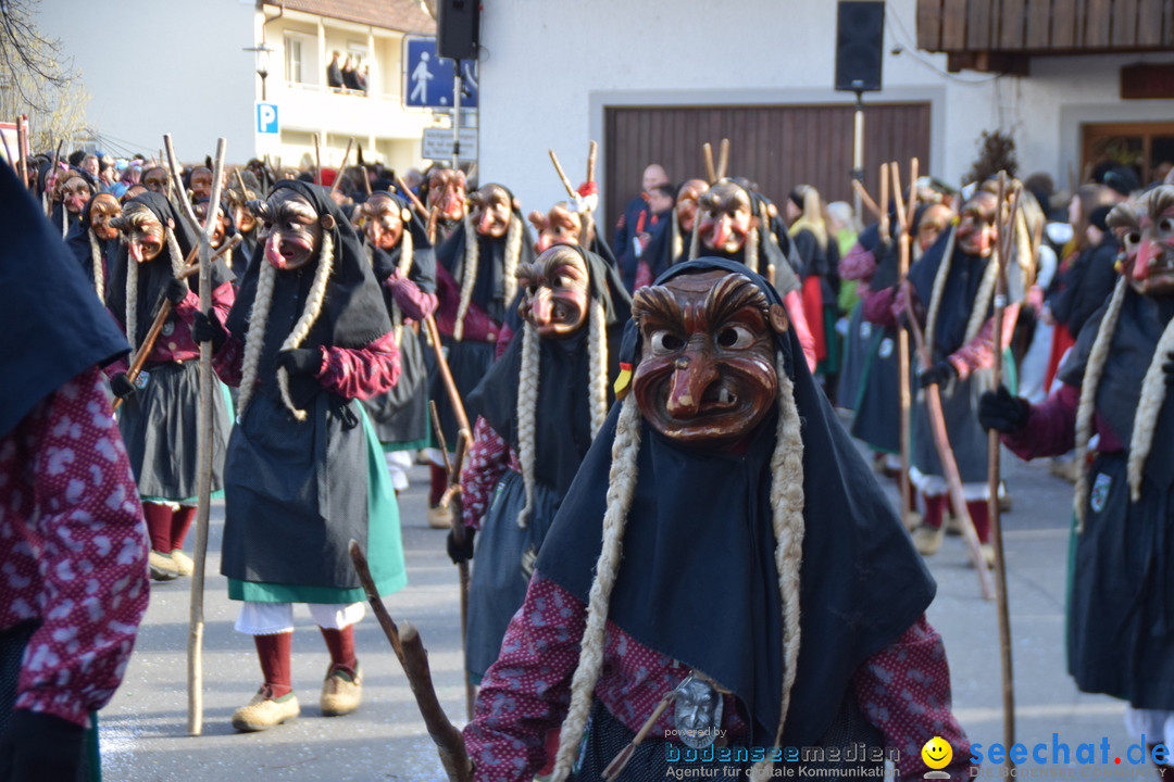 Grosser Narrensprung: Langenargen am Bodensee, 19.01.2020