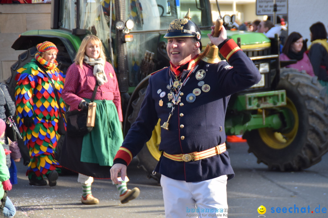 Grosser Narrensprung: Langenargen am Bodensee, 19.01.2020