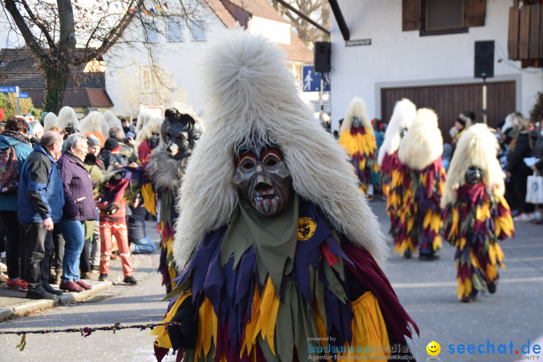 Grosser Narrensprung: Langenargen am Bodensee, 19.01.2020