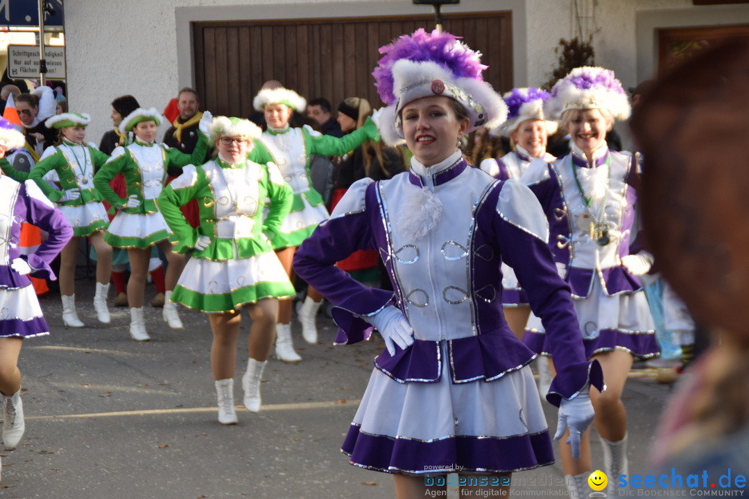Grosser Narrensprung: Langenargen am Bodensee, 19.01.2020