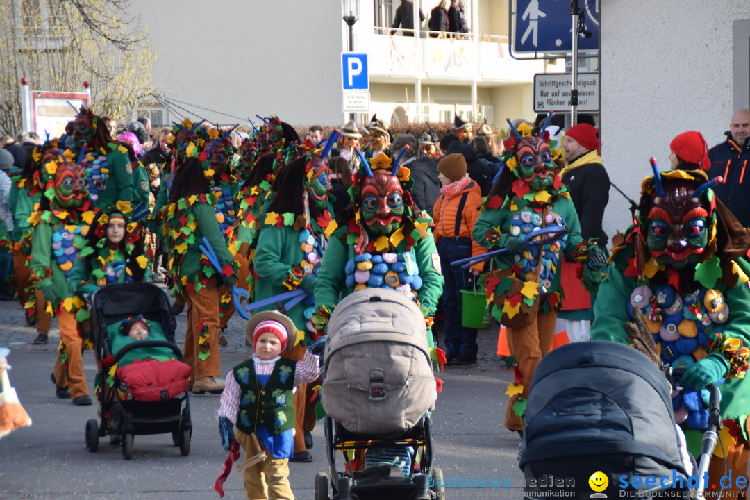 Grosser Narrensprung: Langenargen am Bodensee, 19.01.2020