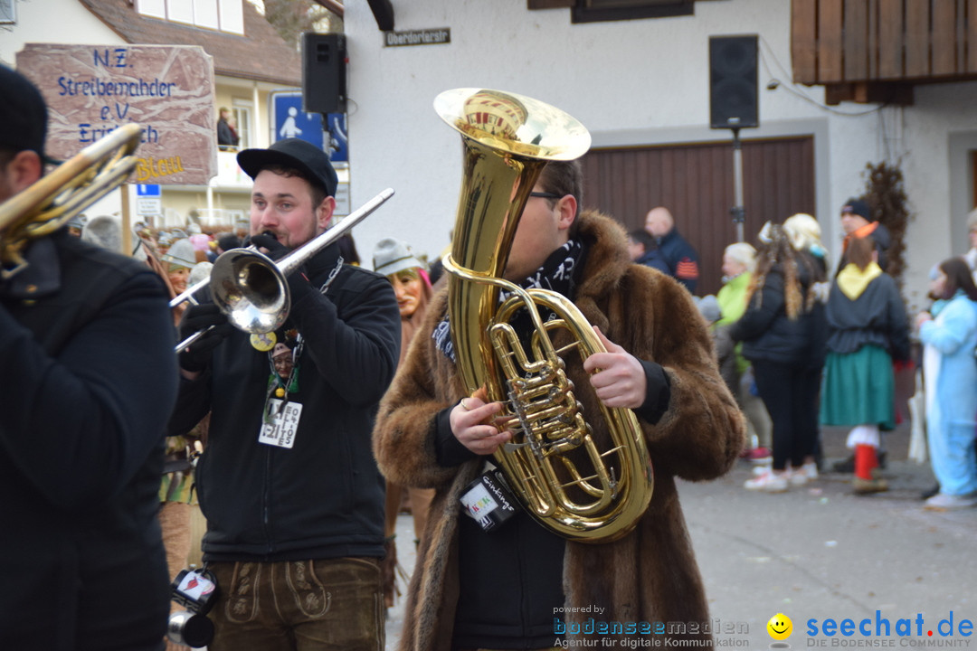 Grosser Narrensprung: Langenargen am Bodensee, 19.01.2020