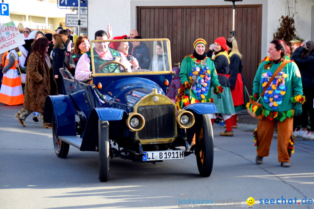 Grosser Narrensprung: Langenargen am Bodensee, 19.01.2020