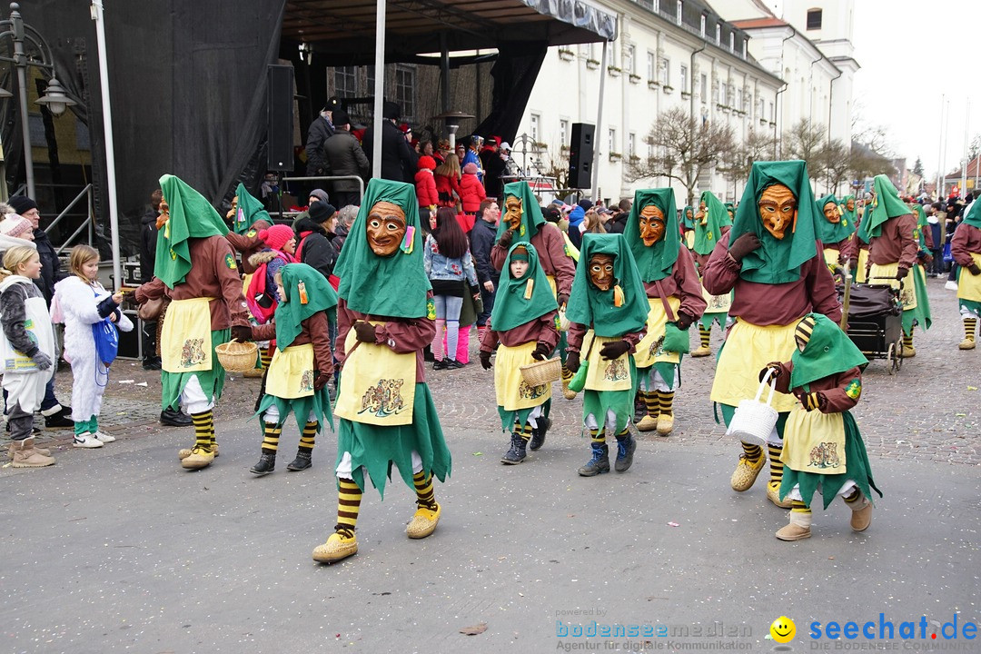 Grosser Narrensprung: Langenargen am Bodensee, 19.01.2020