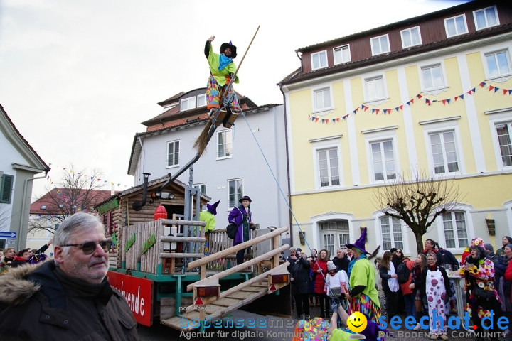 Grosser Narrensprung: Langenargen am Bodensee, 19.01.2020