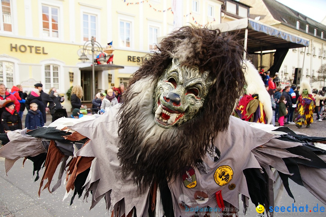 Grosser Narrensprung: Langenargen am Bodensee, 19.01.2020