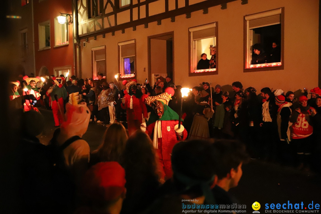 Narrentag des Viererbundes 2020: Nachtumzug in Ueberlingen, 25.01.2020