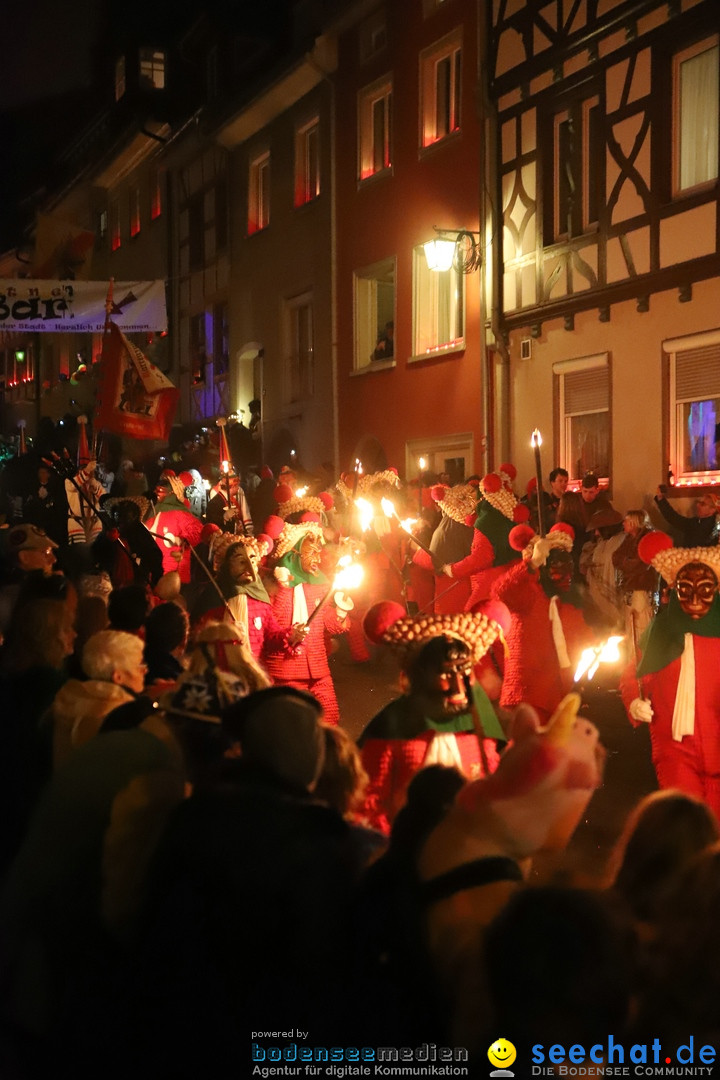 Narrentag des Viererbundes 2020: Nachtumzug in Ueberlingen, 25.01.2020
