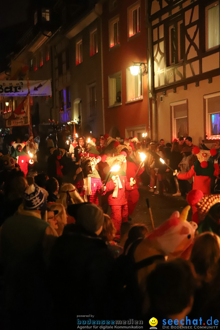 Narrentag des Viererbundes 2020: Nachtumzug in Ueberlingen, 25.01.2020