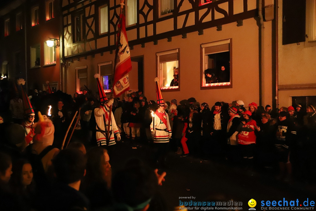 Narrentag des Viererbundes 2020: Nachtumzug in Ueberlingen, 25.01.2020