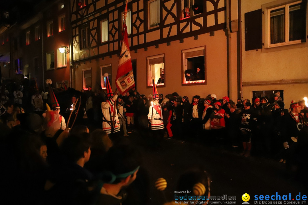 Narrentag des Viererbundes 2020: Nachtumzug in Ueberlingen, 25.01.2020