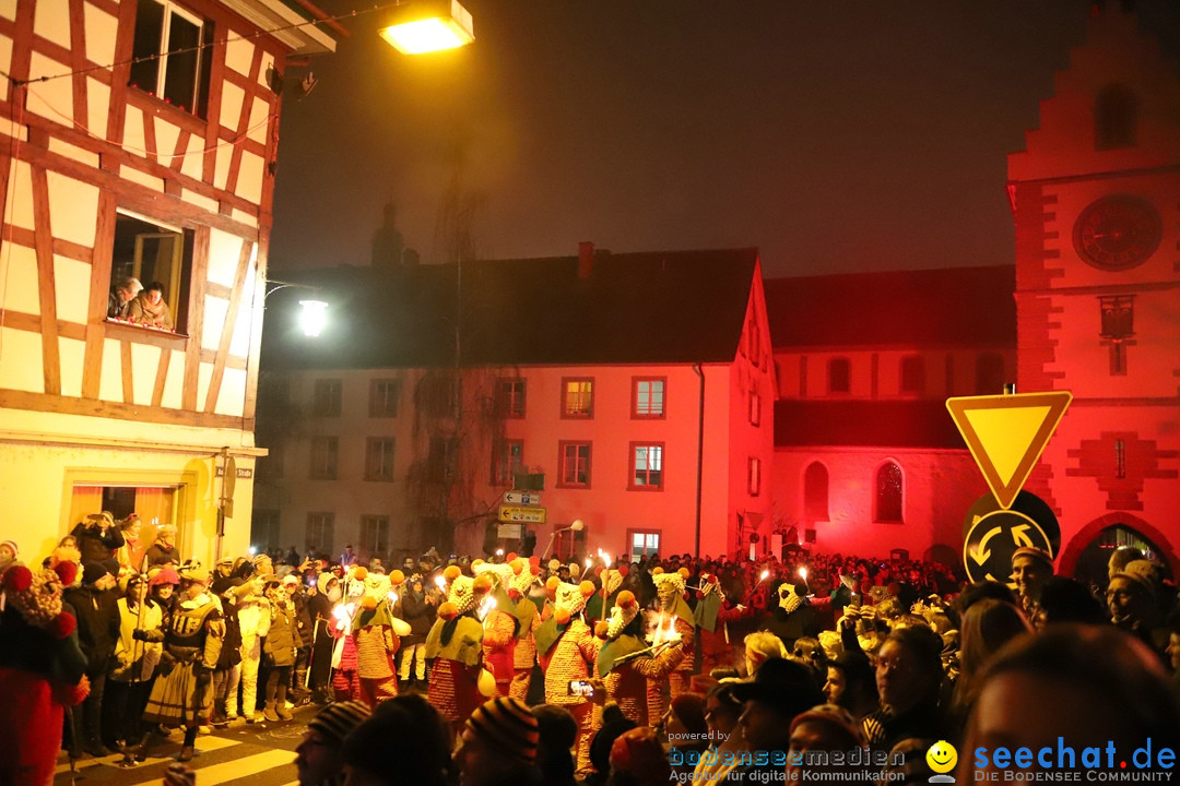Narrentag des Viererbundes 2020: Nachtumzug in Ueberlingen, 25.01.2020