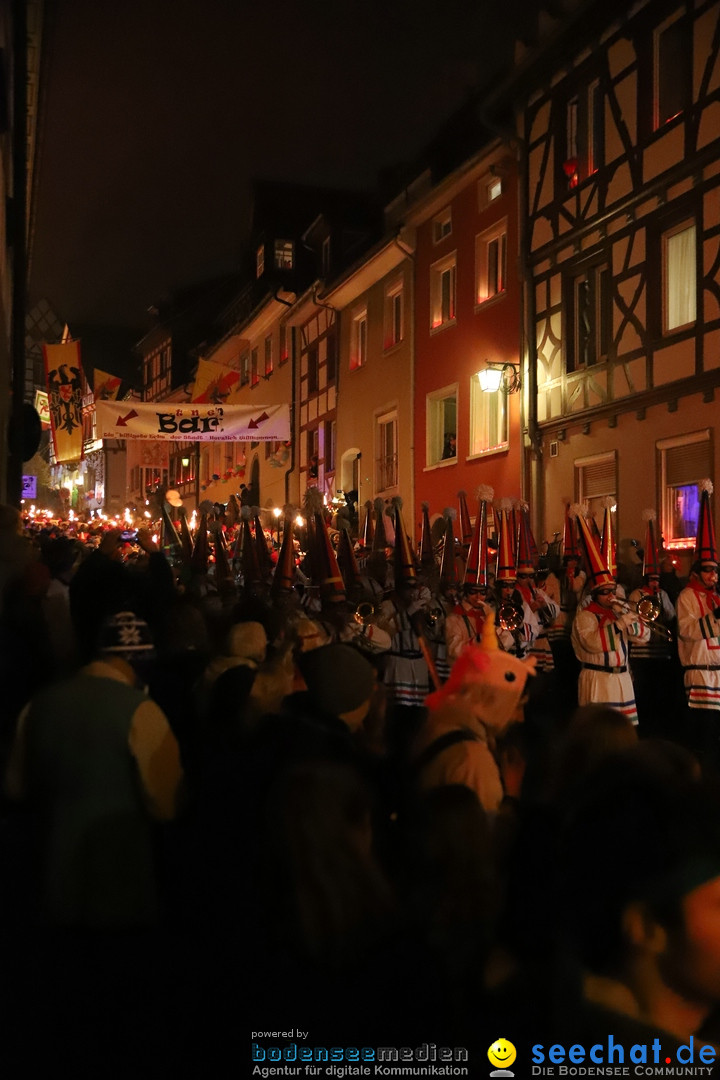 Narrentag des Viererbundes 2020: Nachtumzug in Ueberlingen, 25.01.2020