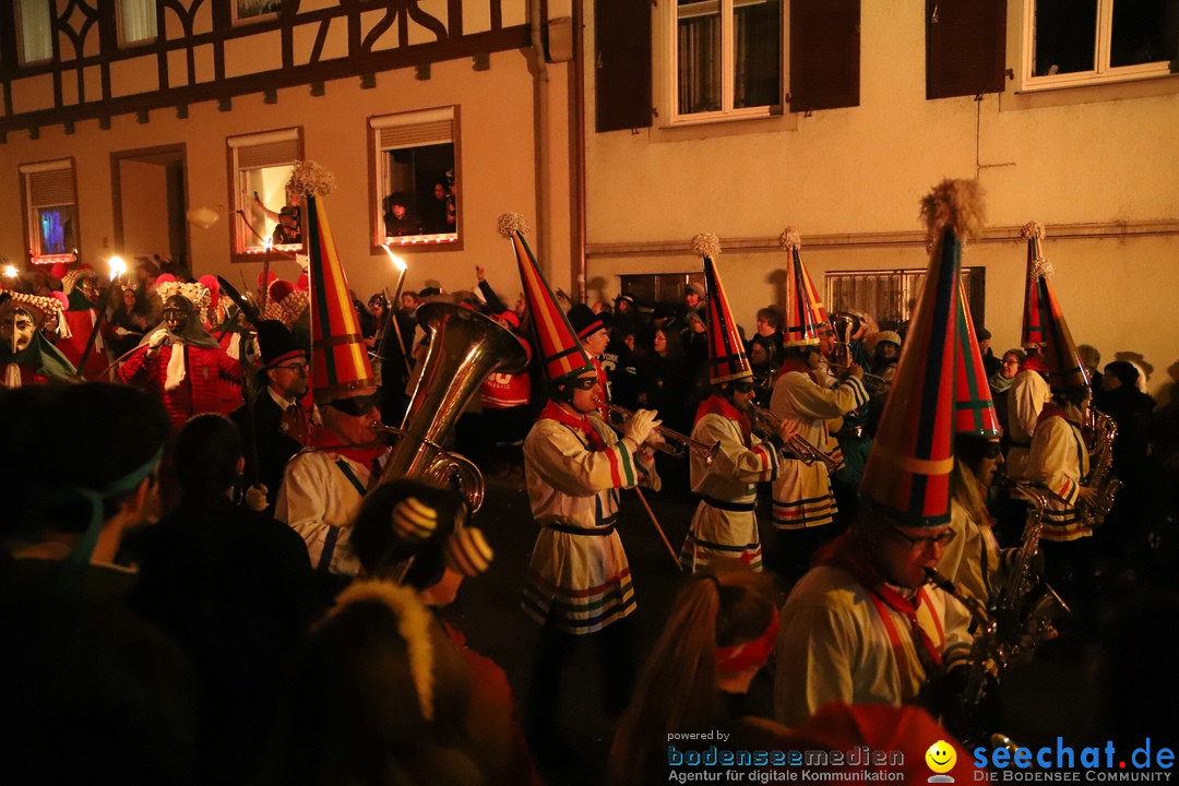 Narrentag des Viererbundes 2020: Nachtumzug in Ueberlingen, 25.01.2020