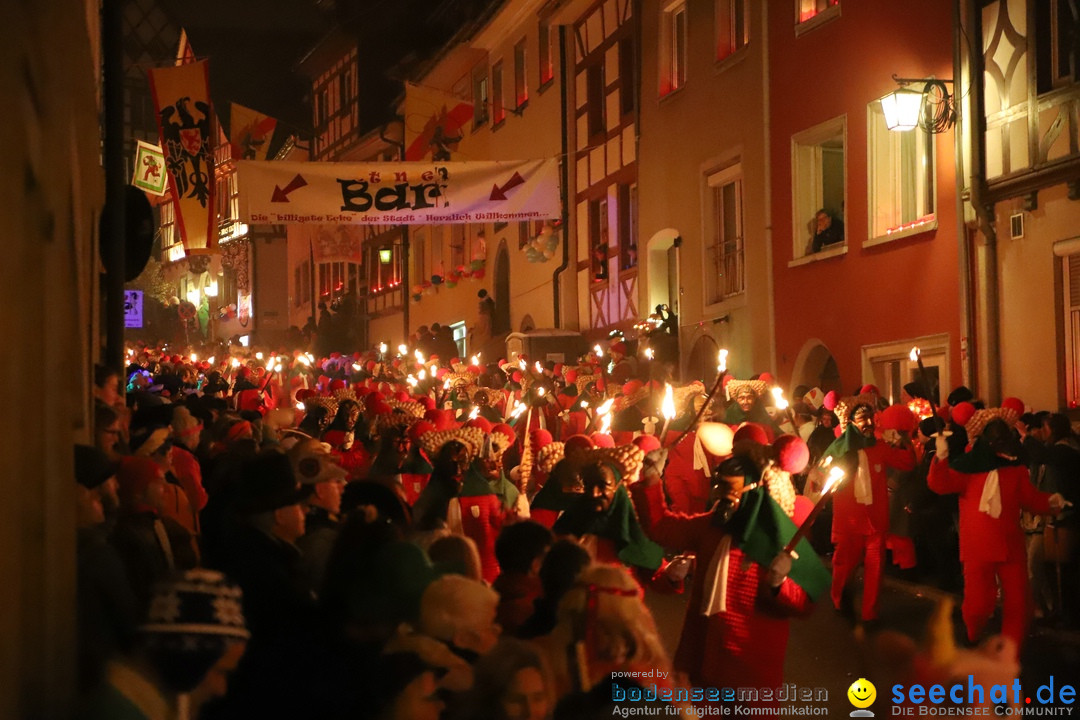 Narrentag des Viererbundes 2020: Nachtumzug in Ueberlingen, 25.01.2020