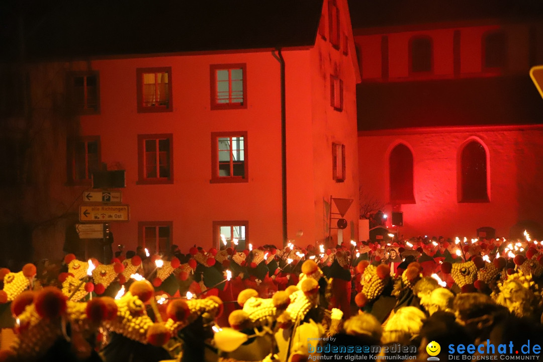 Narrentag des Viererbundes 2020: Nachtumzug in Ueberlingen, 25.01.2020