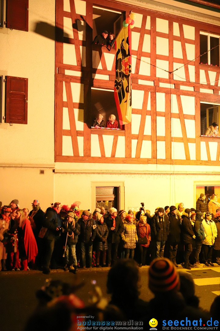 Narrentag des Viererbundes 2020: Nachtumzug in Ueberlingen, 25.01.2020