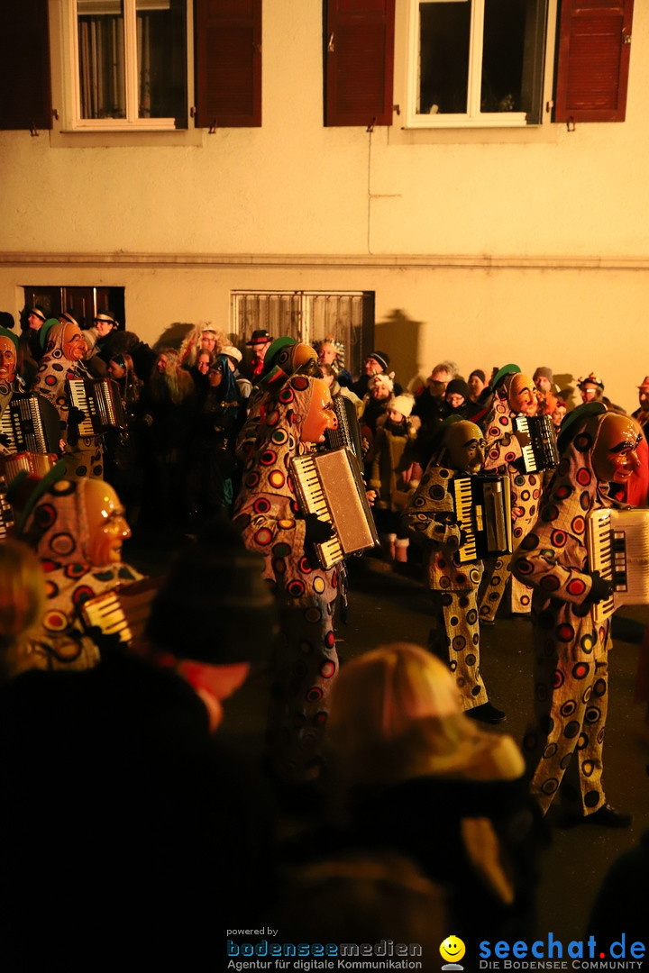 Narrentag des Viererbundes 2020: Nachtumzug in Ueberlingen, 25.01.2020