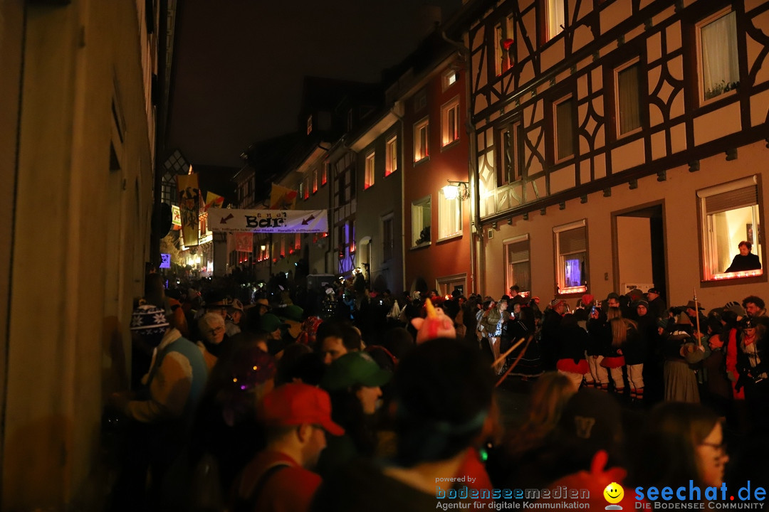 Narrentag des Viererbundes 2020: Nachtumzug in Ueberlingen, 25.01.2020