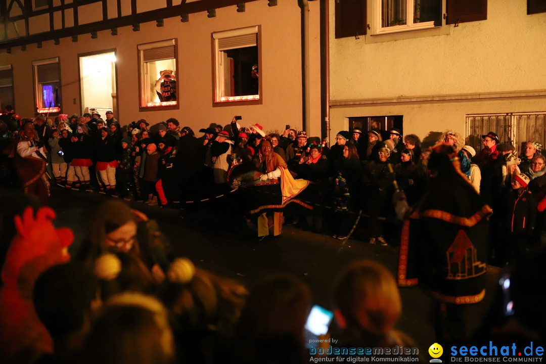 Narrentag des Viererbundes 2020: Nachtumzug in Ueberlingen, 25.01.2020