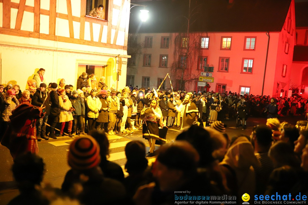 Narrentag des Viererbundes 2020: Nachtumzug in Ueberlingen, 25.01.2020