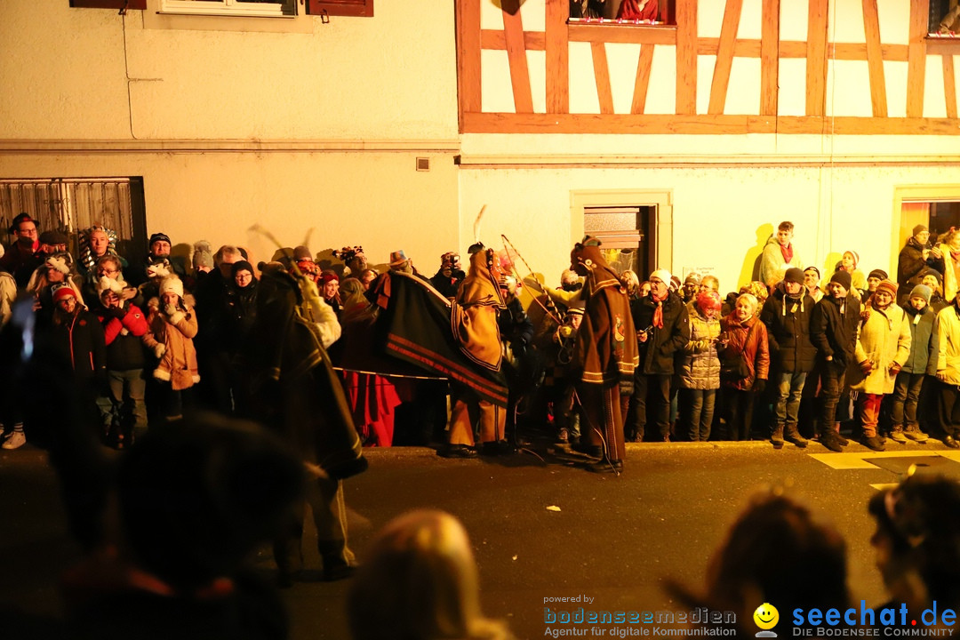 Narrentag des Viererbundes 2020: Nachtumzug in Ueberlingen, 25.01.2020