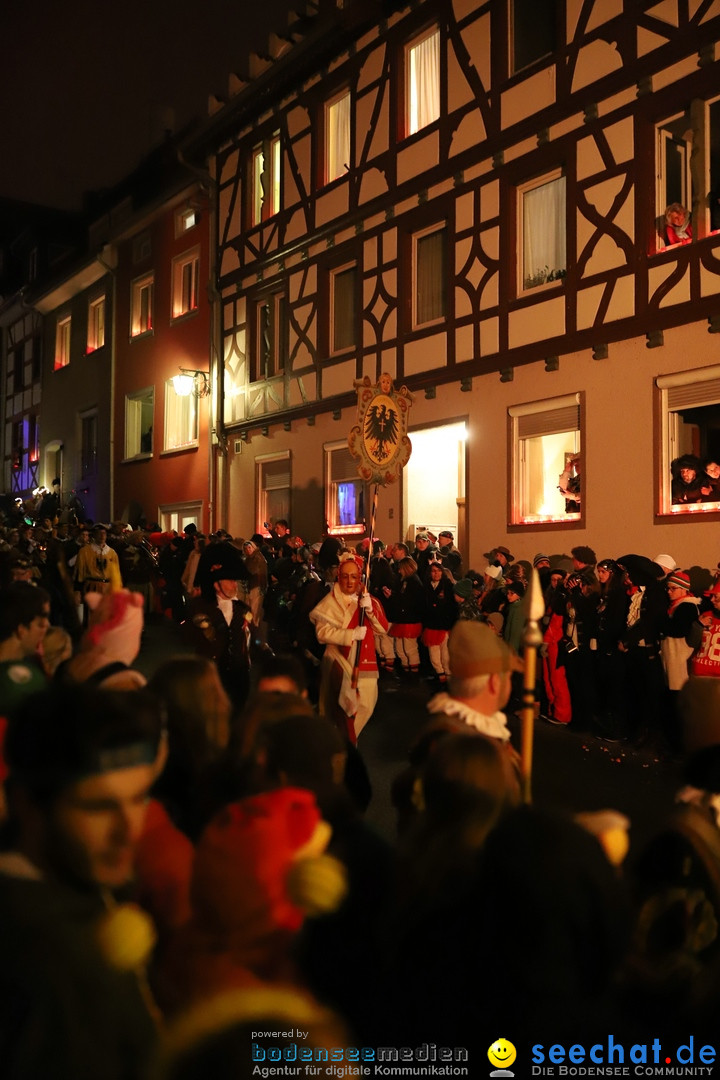 Narrentag des Viererbundes 2020: Nachtumzug in Ueberlingen, 25.01.2020