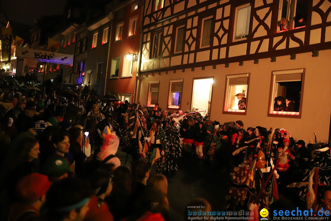 Narrentag des Viererbundes 2020: Nachtumzug in Ueberlingen, 25.01.2020