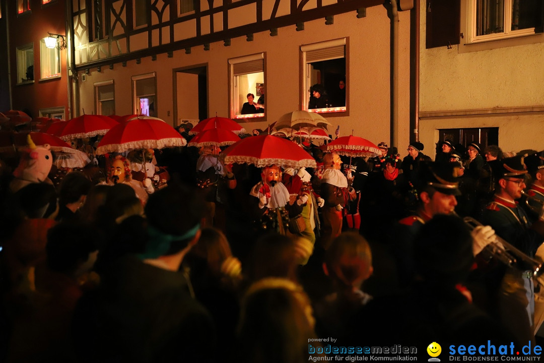 Narrentag des Viererbundes 2020: Nachtumzug in Ueberlingen, 25.01.2020