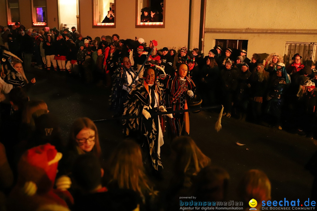 Narrentag des Viererbundes 2020: Nachtumzug in Ueberlingen, 25.01.2020