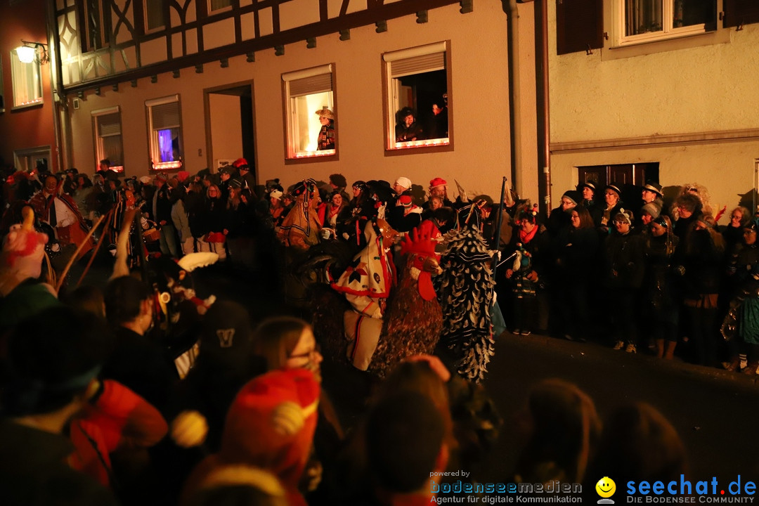 Narrentag des Viererbundes 2020: Nachtumzug in Ueberlingen, 25.01.2020