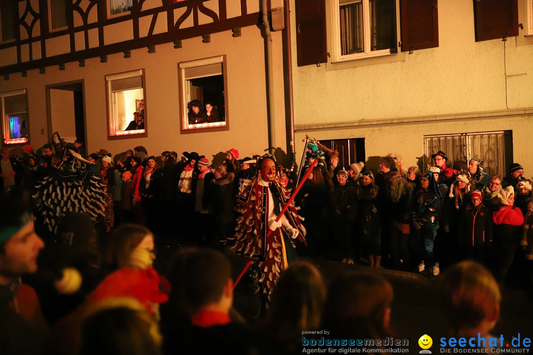 Narrentag des Viererbundes 2020: Nachtumzug in Ueberlingen, 25.01.2020