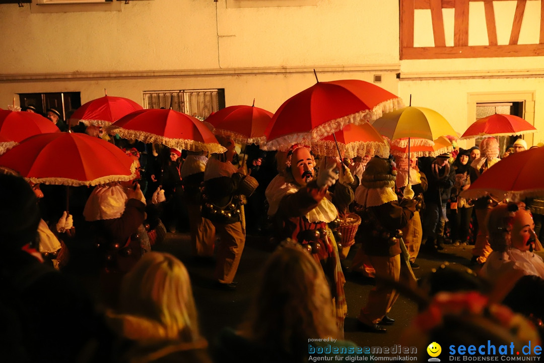 Narrentag des Viererbundes 2020: Nachtumzug in Ueberlingen, 25.01.2020