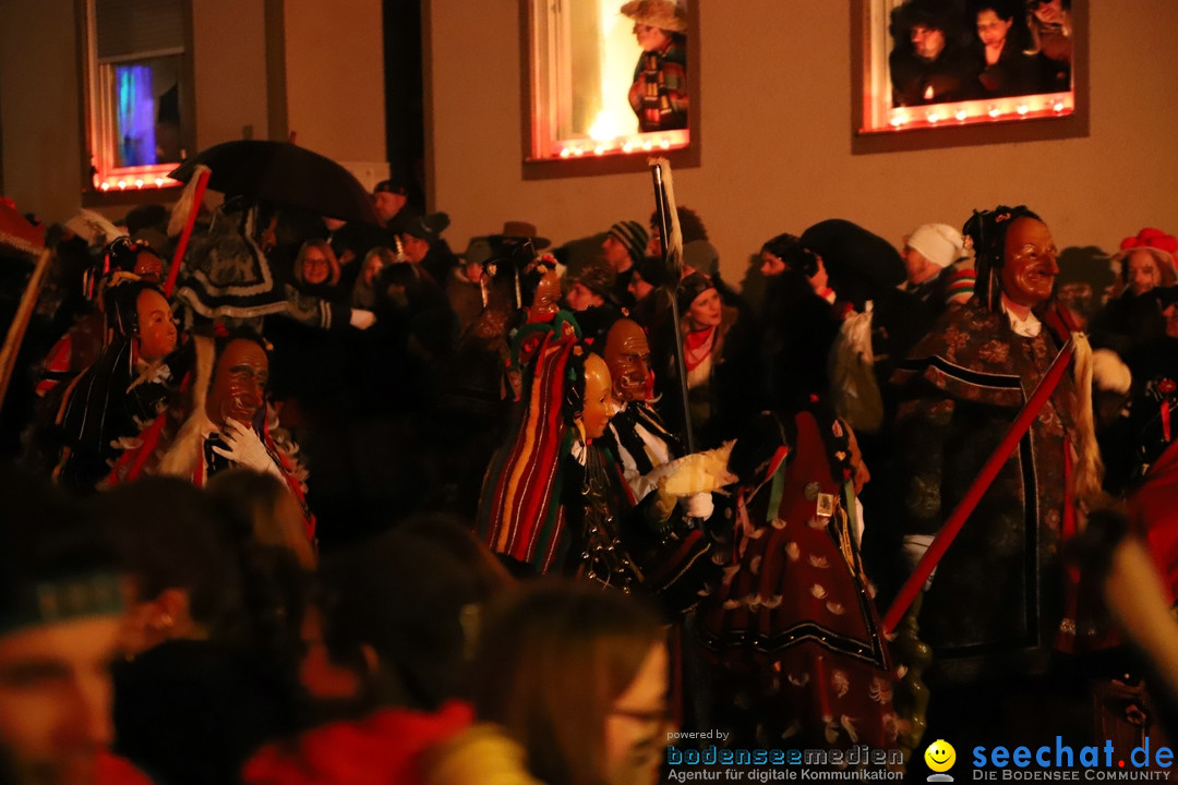 Narrentag des Viererbundes 2020: Nachtumzug in Ueberlingen, 25.01.2020