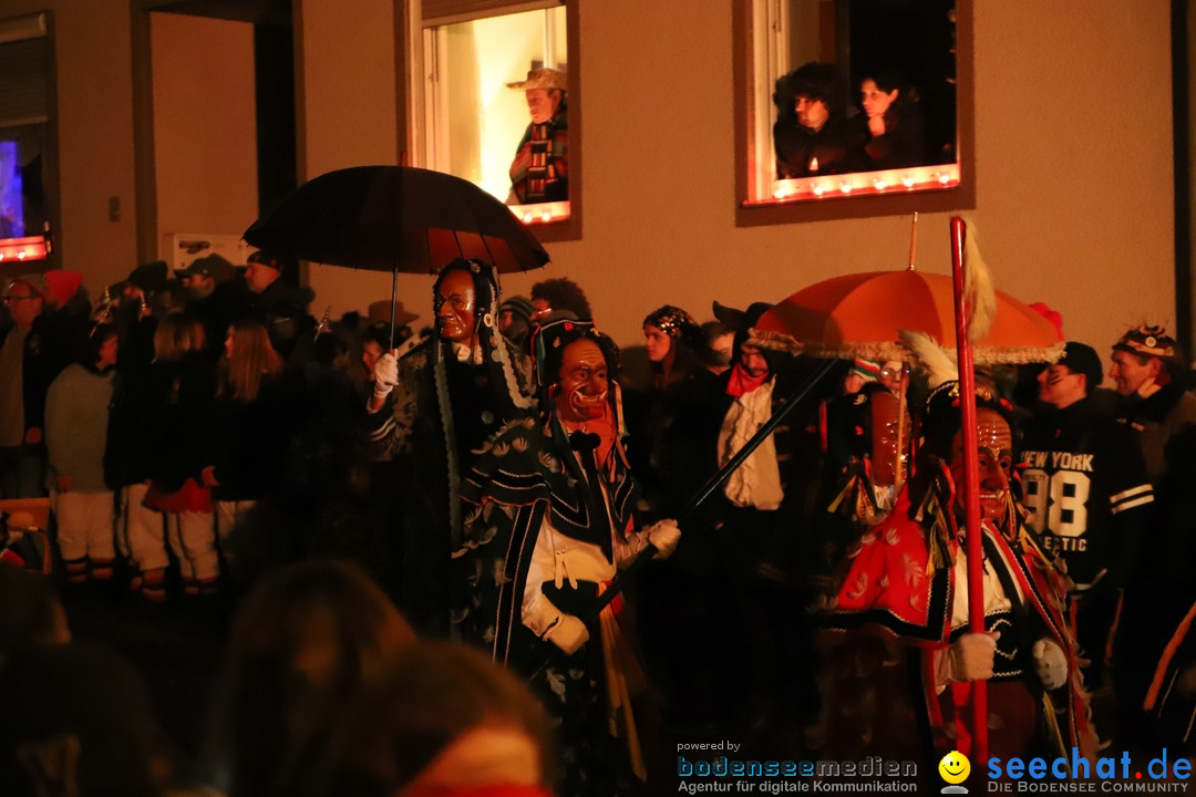 Narrentag des Viererbundes 2020: Nachtumzug in Ueberlingen, 25.01.2020