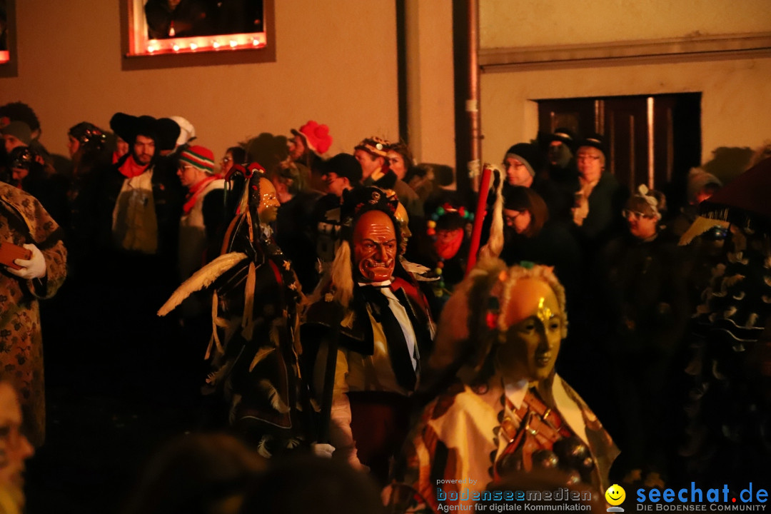 Narrentag des Viererbundes 2020: Nachtumzug in Ueberlingen, 25.01.2020