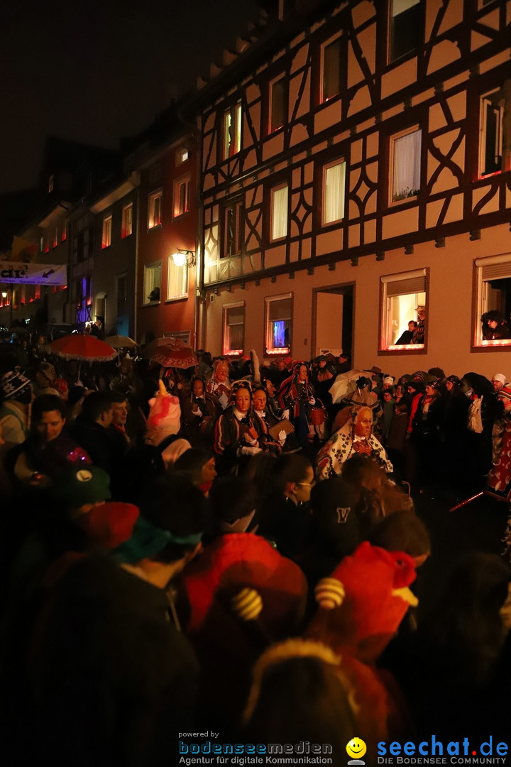 Narrentag des Viererbundes 2020: Nachtumzug in Ueberlingen, 25.01.2020