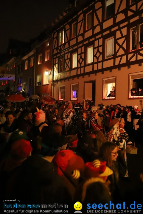 Narrentag des Viererbundes 2020: Nachtumzug in Ueberlingen, 25.01.2020