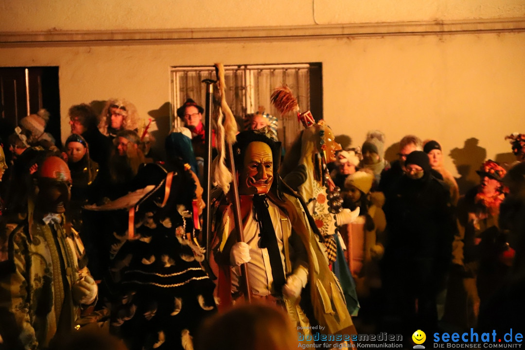 Narrentag des Viererbundes 2020: Nachtumzug in Ueberlingen, 25.01.2020