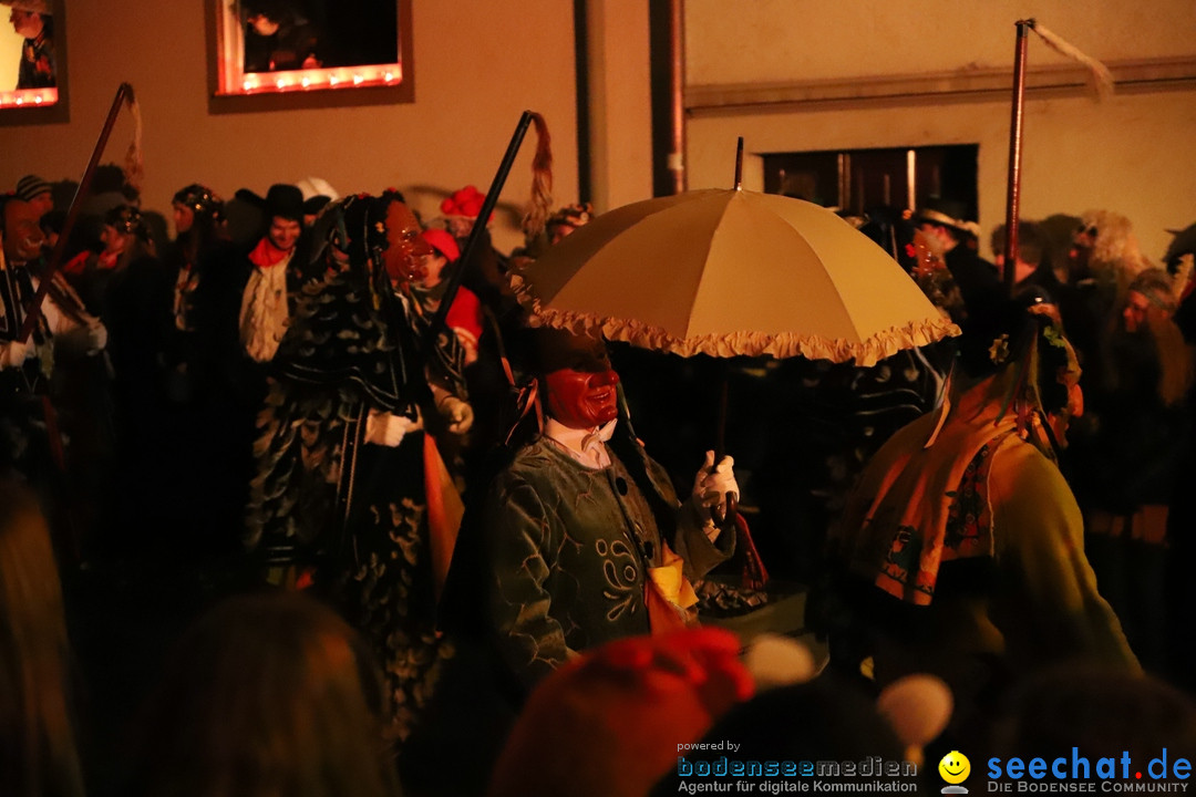 Narrentag des Viererbundes 2020: Nachtumzug in Ueberlingen, 25.01.2020