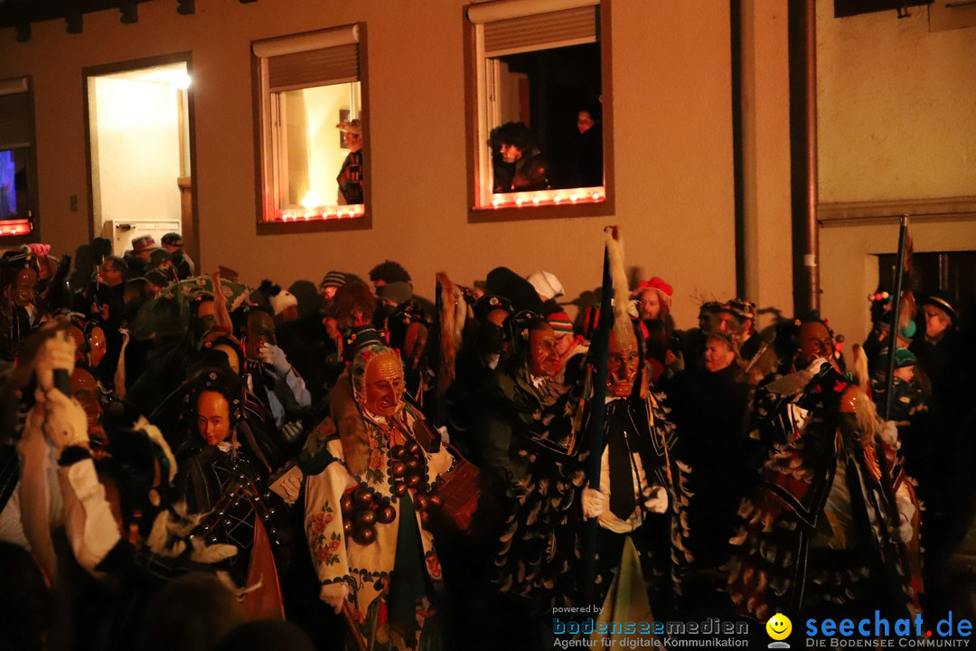 Narrentag des Viererbundes 2020: Nachtumzug in Ueberlingen, 25.01.2020