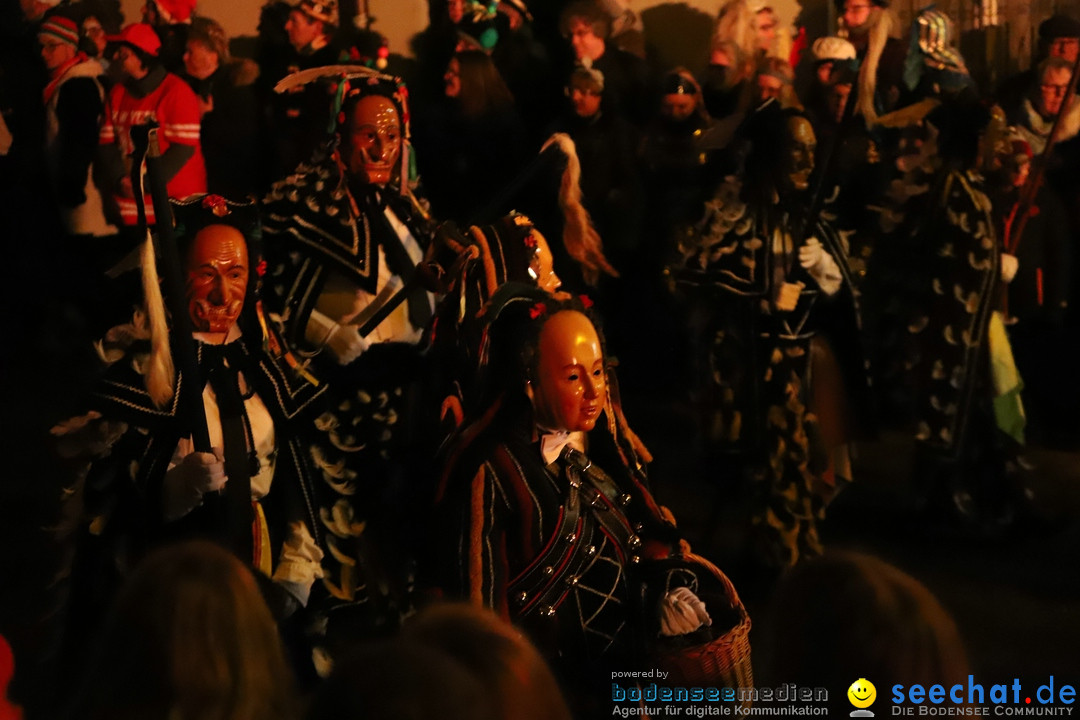 Narrentag des Viererbundes 2020: Nachtumzug in Ueberlingen, 25.01.2020