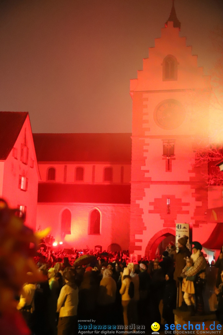Narrentag des Viererbundes 2020: Nachtumzug in Ueberlingen, 25.01.2020