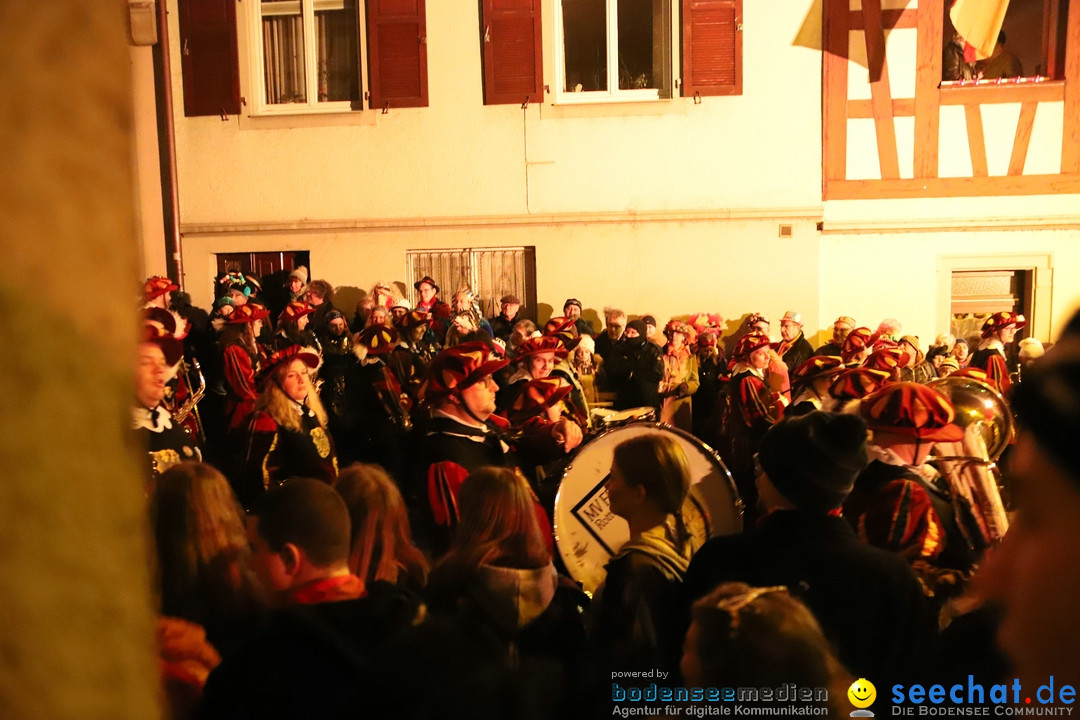 Narrentag des Viererbundes 2020: Nachtumzug in Ueberlingen, 25.01.2020