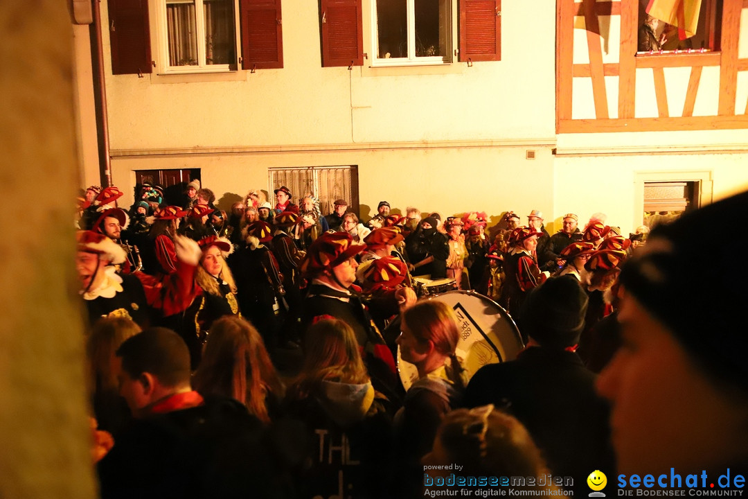 Narrentag des Viererbundes 2020: Nachtumzug in Ueberlingen, 25.01.2020