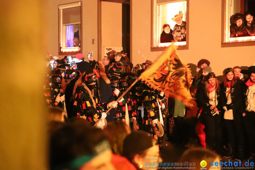 Narrentag des Viererbundes 2020: Nachtumzug in Ueberlingen, 25.01.2020