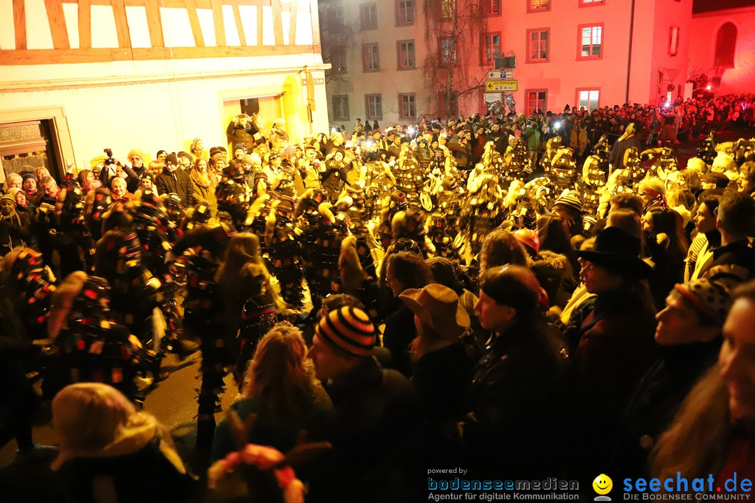 Narrentag des Viererbundes 2020: Nachtumzug in Ueberlingen, 25.01.2020