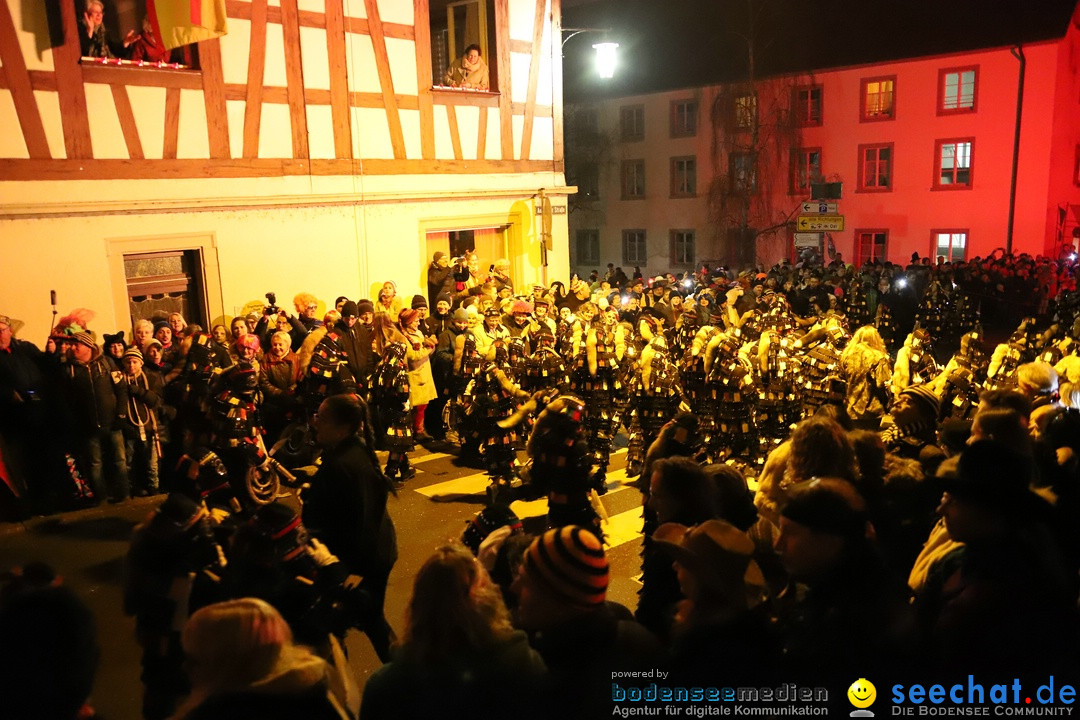 Narrentag des Viererbundes 2020: Nachtumzug in Ueberlingen, 25.01.2020