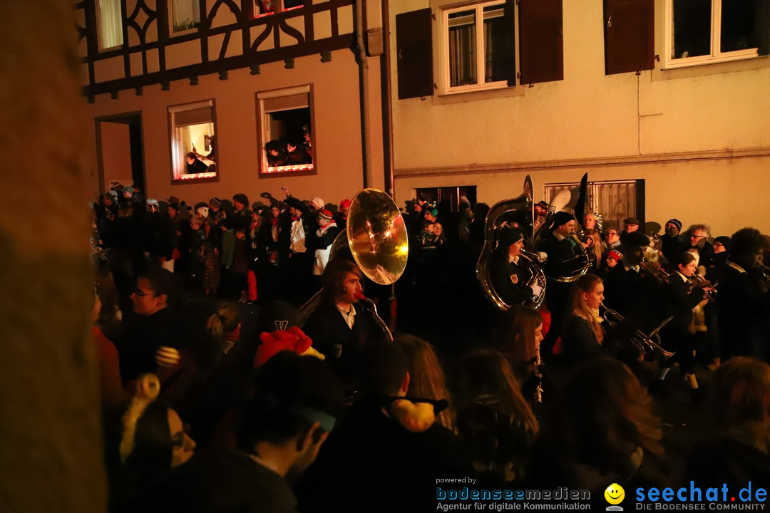 Narrentag des Viererbundes 2020: Nachtumzug in Ueberlingen, 25.01.2020